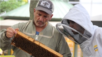 Imker Andrew Coté (l.) checkt gemeinsam mit einem Helfer die Bienenstöcke im New Yorker Bryant Park. Imkern in New York wird immer beliebter.
