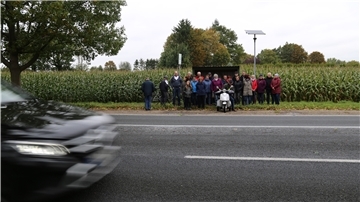 Straße, Menschengruppe, Maisfeld, Auto
