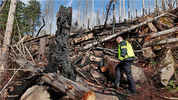 Wind facht kleinere Feuer am Brocken wieder an Immer wieder werden Glutnester am Brocken entdeckt. Der Einsatz der Feuerwehr ist noch nicht beendet.