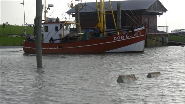 Sturmtief „Joshua“ in Bildern: So sieht es an der Wurster Nordseeküste aus Dorum-Neufeld, Sturmflut, Hochwasser, Überschwemmungen, Küste