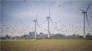 In Beverstedt sollen weitere Windparks entstehen. Das Foto zeigt Windräder in Misselwarden.