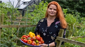 In Birgit Arndts Garten wachsen weit über 100 verschiedene Tomatensorten.