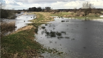 Schauer, Graupel, Niesel - für wen ist der Regen ein Segen? Überschwemmte Landschaft
