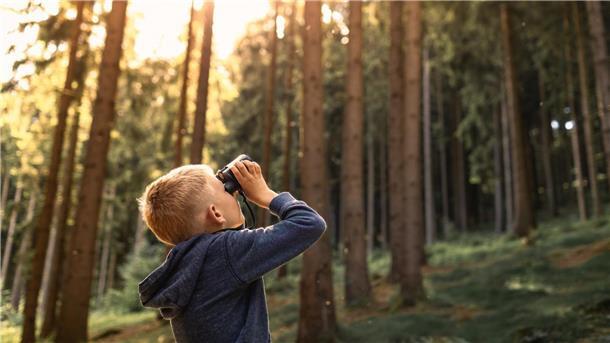 Kind im Wald