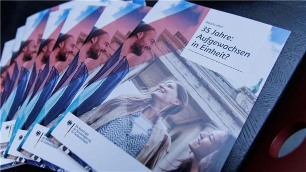 Steinmeier: „Nicht zulassen, dass Demokratie Schaden nimmt“ In dem Bericht kommen junge Autoren zu Wort, die nach der Vereinigung aufgewachsen sind.