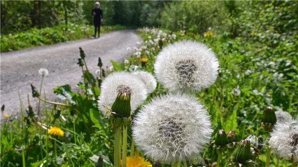 So können Sie im Kirchenkreis Wesermünde die Klimabewegung mitgestalten Barcode für Informationen und die Anmeldung zum "Chaircamp" des Kirchenkreises Wesermünde