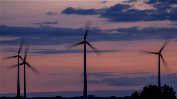 Windpark im Abendlicht