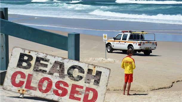 Hai-Alarm! Bekannter Strand in Sydney gesperrt In den Gewässern von Australien tummeln sich drei Arten von Hammerhaien. Um welche Art es sich am Palm Beach handelte, ist unklar (Archibild).