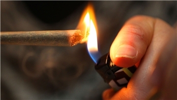 In den Niederlanden ist der Genuss von Marihuana, den getrockneten Blüten der weiblichen Cannabispflanze, an bestimmten Orten legal.