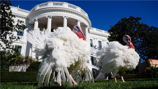US-Medien geben Tipps für ein harmonisches Thanksgiving In den USA wird das Erntedankfest gefeiert.