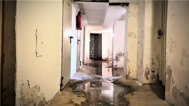 In der Heinrichstraße 32 steht der Keller regelmäßig unter Wasser und das ist nur einer der Mängel. Doch weder der Vermieter noch die Hausverwaltungsgesellschaft reagierten auf die Beschwerden, kritisieren die Mieter.