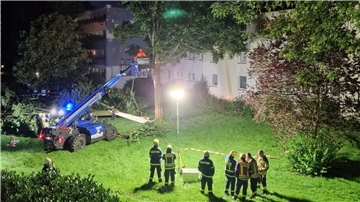In der Kurt-Schumacher-Straße stürzte ein Baum um. Die Feuerwehr arbeitete bis in den späten Abend, um die Schäden zu beseitigen.