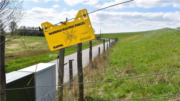In der Osterstader Marsch wurde der Schutz der auf dem Deich weidenden Schafe zuletzt 2023 verstärkt. Der neue Elektro-Zaun ist 1,60 Meter hoch und soll Wölfe mit 4.000 Volt abschrecken.