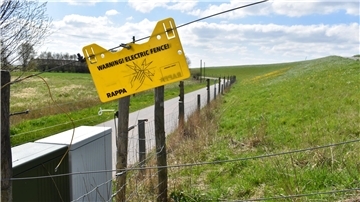 In der Osterstader Marsch wurde der Schutz der auf dem Deich weidenden Schafe zuletzt 2023 verstärkt. Der neue Elektro-Zaun ist 1,60 Meter hoch und soll Wölfe mit 4.000 Volt abschrecken.