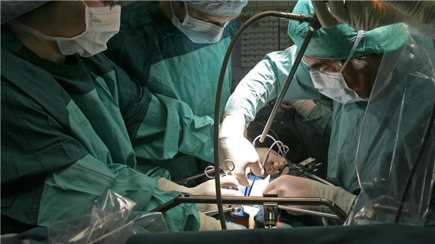 Schweineleber in lebenden Menschen transplantiert In Deutschland warten über 8.000 Menschen auf eine Organspende, vielfach schon seit Jahren.