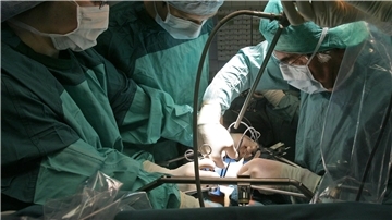 In Deutschland warten über 8.000 Menschen auf eine Organspende, vielfach schon seit Jahren.