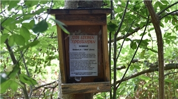 Ein Nistkasten hängt an einem Baum im Wald.