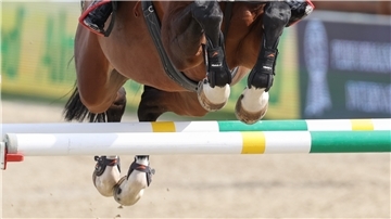 In dieser Szene hebt das Pferd die Beine hoch genug an und klappt die Hufen ein, um das Hindernis fehlerfrei zu überspringen. Um die Tiere feinfühliger zu machen, verwenden Profis auch gern die Trainingsmethode des Touchierens. Das wird nun jedoch verboten.