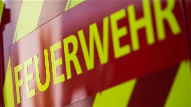 Reetdachhaus im Landkreis Wesermarsch abgebrannt In einem Reetdachhaus bricht ein Feuer aus und sorgt für einen großen Einsatz der Feuerwehr. (Symbolbild)