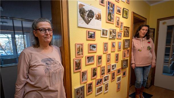 Dank „Gismos Inn“ können sogar Katzen in Bremerhaven Urlaub machen In einer Fotogalerie im Flur des Katzenhotels von Ute Kellmer (l). und Dr. Tatjana Rusch sind Bilder zufriedener Gäste zu sehen.