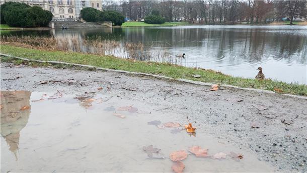 Schützen marschieren im Regen durch Hannover In einer Pfütze spiegelt sich ein Teil des Rathauses Hannover wider.