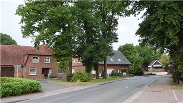 In Höhe der Einmündungen zum Feuerhörn und zur Friedhofstraße ist auf der Landesstraße eine Querungshilfe vorgesehen. Allerdings müssen für den Ausbau der Kreuzung vier oder sogar alle fünf Eichen auf der "Insel" an der Friedhofstraße fallen.