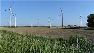 In keinem anderen Windpark in Butjadingen - hier der Park Schütting bei Süllwarden - stehen so hohe Anlagen wie die, die nun in Burmeide errichtet werden sollen.