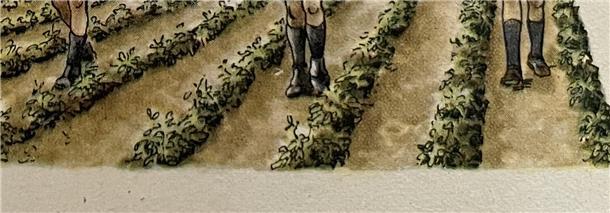 In Kolonnen zogen nicht nur Kinder über die Äcker, um Kartoffelkäfer einzusammeln und zu töten. Diese Illustration stammt aus der Kartoffelkäferfibel, die der Wilstedter Hans-Werner Behrens jetzt wiedergefunden hat. Er selbst musste diese Arbeit ab 1942 auch machen.