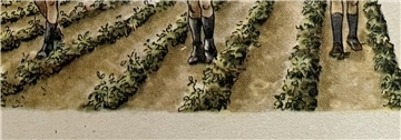 In Kolonnen zogen nicht nur Kinder über die Äcker, um Kartoffelkäfer einzusammeln und zu töten. Diese Illustration stammt aus der Kartoffelkäferfibel, die der Wilstedter Hans-Werner Behrens jetzt wiedergefunden hat. Er selbst musste diese Arbeit ab 1942 auch machen.