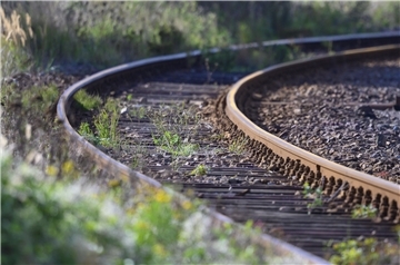 Unkraut wächst zwischen den Gleisen auf dem Gelände eines Bahnhofs.