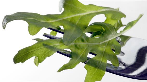 RKI meldet Salmonellen-Ausbruch - Erreger in Rucola? In Österreich wurde das Bakterium Salmonella Umbilo in Proben von Rucola aus Italien nachgewiesen. (Archivbild)