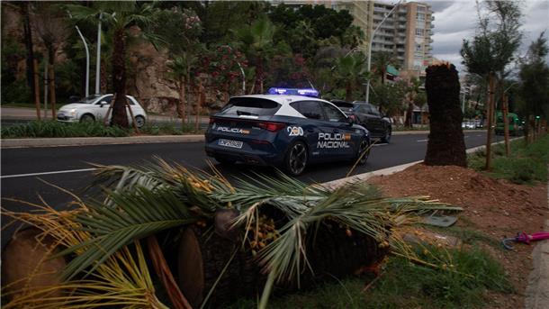 Sturm und Regen sorgen für Chaos auf Mallorca In Palma gab es Dutzende Einsätze.