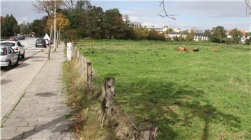 In Richtung Wiese soll die Schule, deren Gebäude hinten zu erkennen ist, erweitert werden.