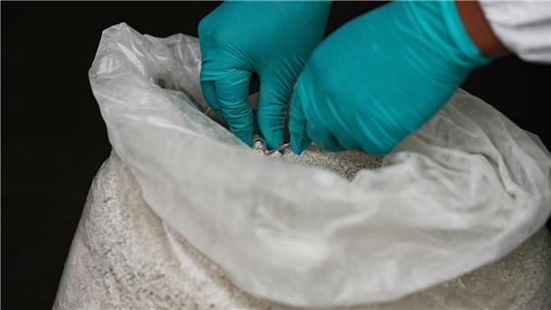Schmugglern auf der Spur In Säcken mit Steinen haben die Schmuggler das giftige Quecksilber versteckt.