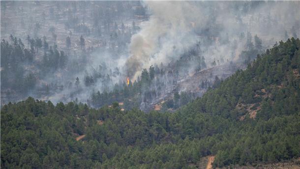 Groß-Waldbrand in Spanien zerstört über 4000 Hektar In San Agustín brennt der Wald.