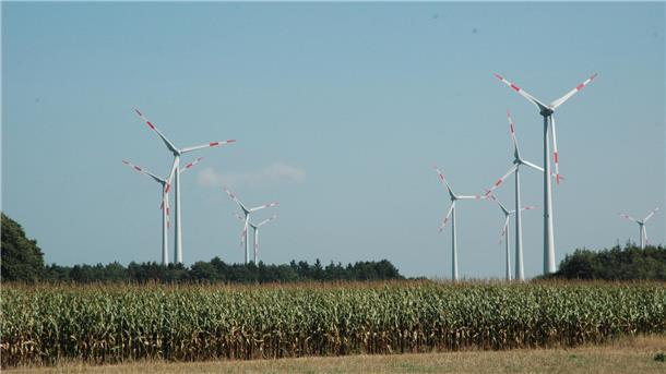 Das Foto zeigt Windräder.