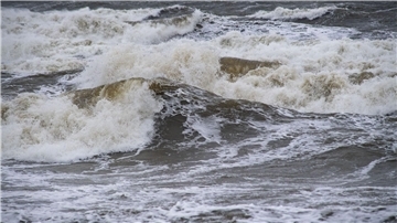 In weiten Teilen der Küstenregionen von Schleswig-Holstein und Mecklenburg-Vorpommern werden am Donnerstag Sturmböen erwartet. (Symbolbild)