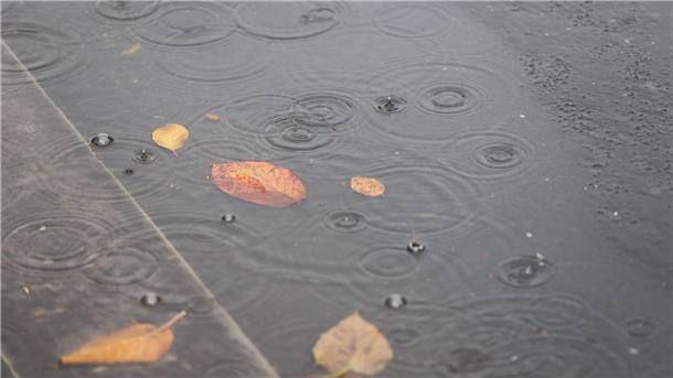 Oktober-Bilanz: Trüber und nasser Herbstmonat Insbesondere im Norden kam viel Regen herunter. (Archivbild)