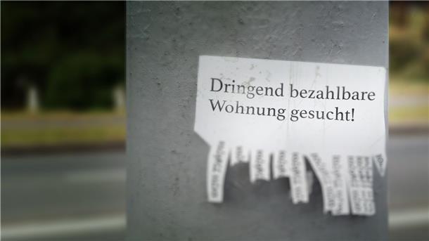 Ein Zettel mit einem Wohnungsgesuch hängt an einem Betonpfeiler.