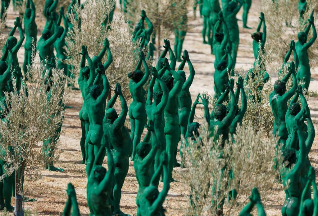 Intensives Grün: Spencer Tunicks erste Kunstinstallation in Andalusien.