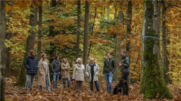 Eine Gruppe Menschen steht im Wald und lauscht den Ausführungen einer Führerin.