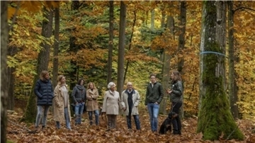 Eine Gruppe Menschen steht im Wald und lauscht den Ausführungen einer Führerin.