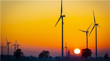 Investoren möchten in Moorsee einen Windpark bauen. Der Bauausschuss des Nordenhamer Stadtrats beschäftigt sich am kommenden Mittwoch mit dem Thema.