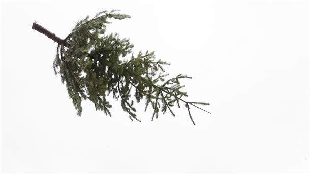 Weihnachtsbaum fliegt durch die Luft