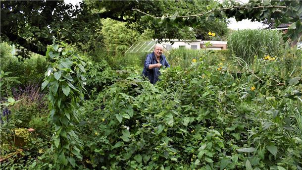 Iris Eberl liebt ihren Wildgarten. Und sie liebt die Idee, die dahinter steht. Die Langenerin hat schon vor mehr als 20 Jahren erkannt, wie wichtig natürliche Vielfalt hinterm Haus ist - für die Tiere und letztlich auch für den Menschen.