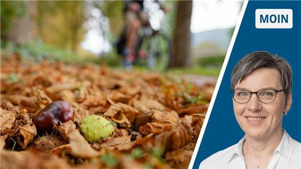 Collage Herbstbild / Portrait Andrea Vogt