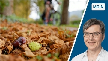 Collage Herbstbild / Portrait Andrea Vogt