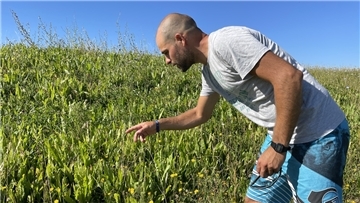 Jan-Michael Schönebeck sieht sich die Stelle des Vordeichs an, an der besonders viel wächst. Diese Art der Vegetation ist für die Artenvielfalt gut, verliert aber Punkte in der Disziplin Küstenschutz.