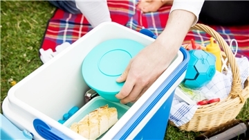 Das Foto zeigt eine Picknickszene. Symbolfoto zu Bericht über ein geplantes Picknick in Stollhamm.