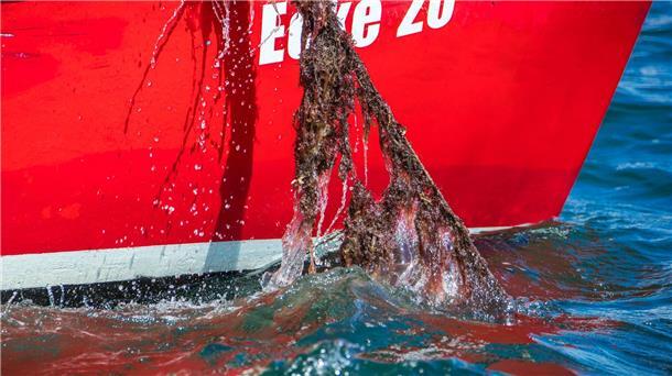Mit Künstlicher Intelligenz besser nach Geisternetzen suchen Jedes Jahr landet eine unbekannte Menge an Fischernetzen im Meer. Mit Künstlicher Intelligenz sollen sie besser aufgespürt werden. (Archivbild)